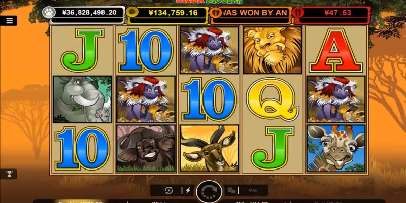 Giải thưởng của Mega Moolah 58win