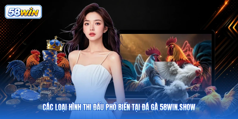 Các Loại Hình Thi Đấu Phổ Biến Tại Đá Gà 58win.show