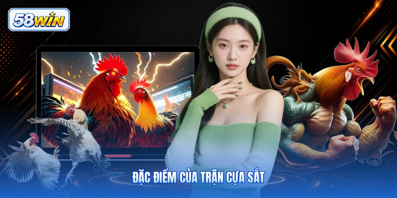 Đặc Điểm Của Trận Cựa Sắt