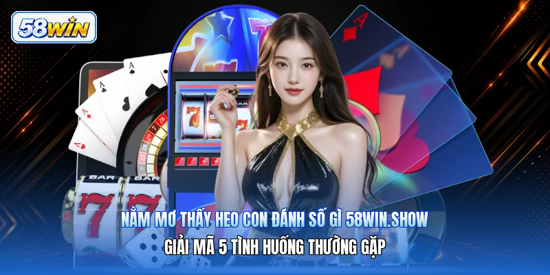 Nằm Mơ Thấy Heo Con Đánh Số Gì 58win.show – Giải Mã 5 Tình Huống Thường Gặp